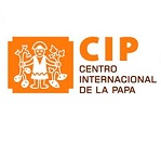 cip